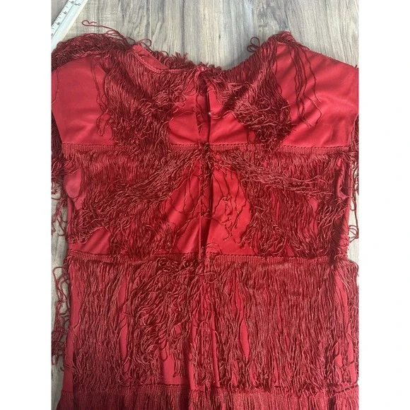 Cheryl Kaye Vintage Women's 16 Red Flapper Sleeveless‎ Tassels Fringe Dress USA - Picture 9 of 10